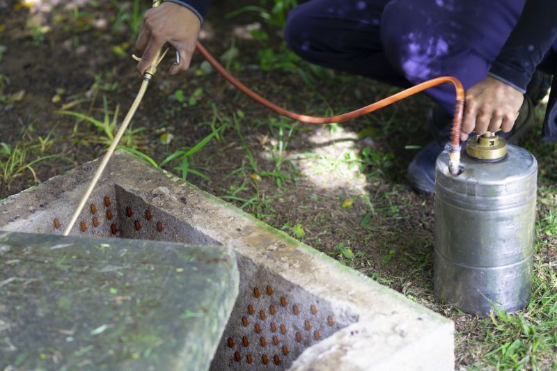 Fumigation Service in Katy, TX