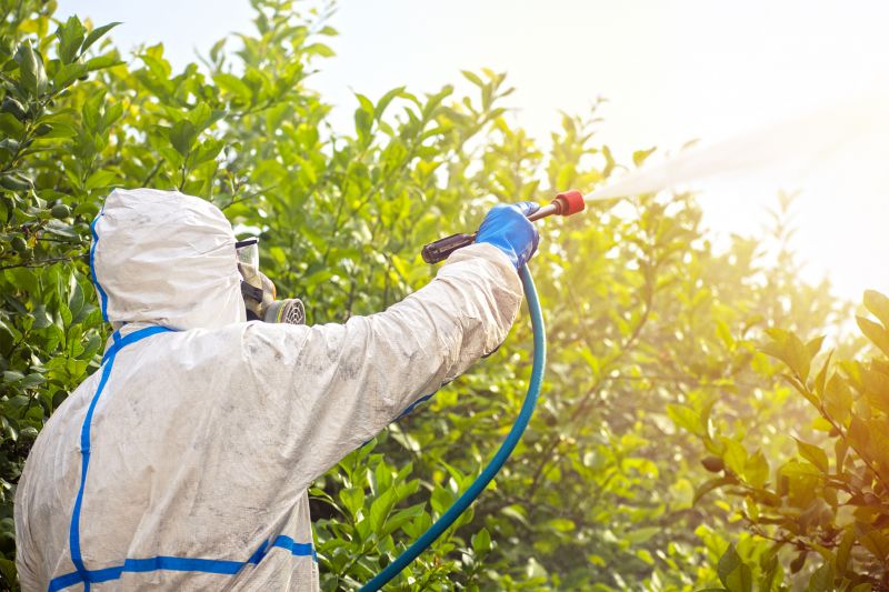 Fumigation Service in Fredericksburg, VA