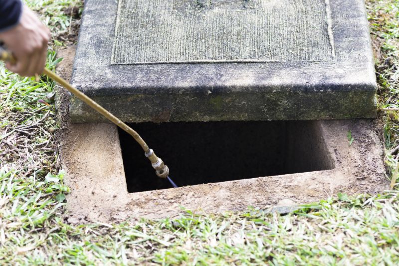 Rat Fumigation Service in Wilmington, NC