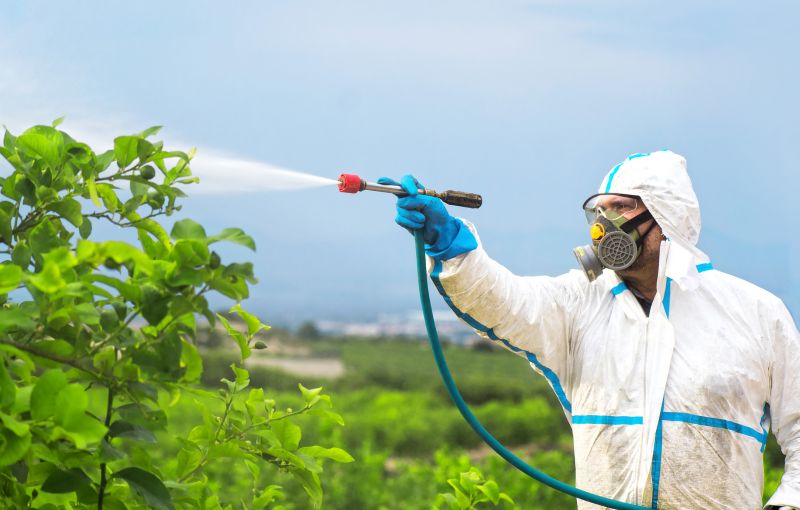 Roach Fumigation in Fort Collins, CO