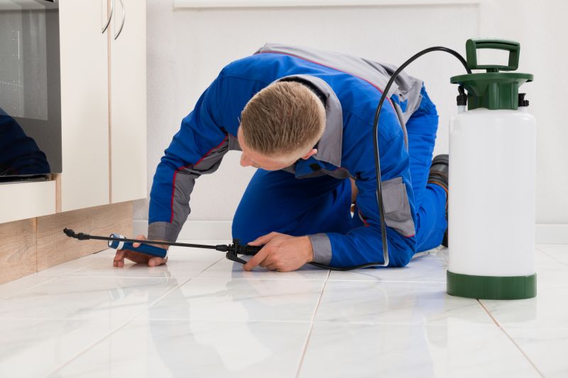 Beetle Removal in Katy, TX
