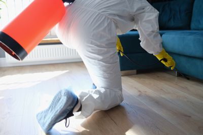 Residential Fumigation in Ann Arbor, MI