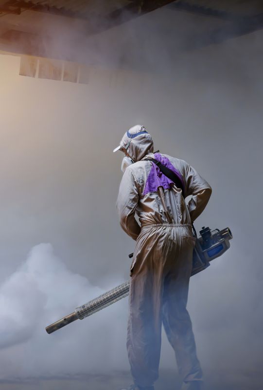 Spider Fumigation Service in Ann Arbor, MI