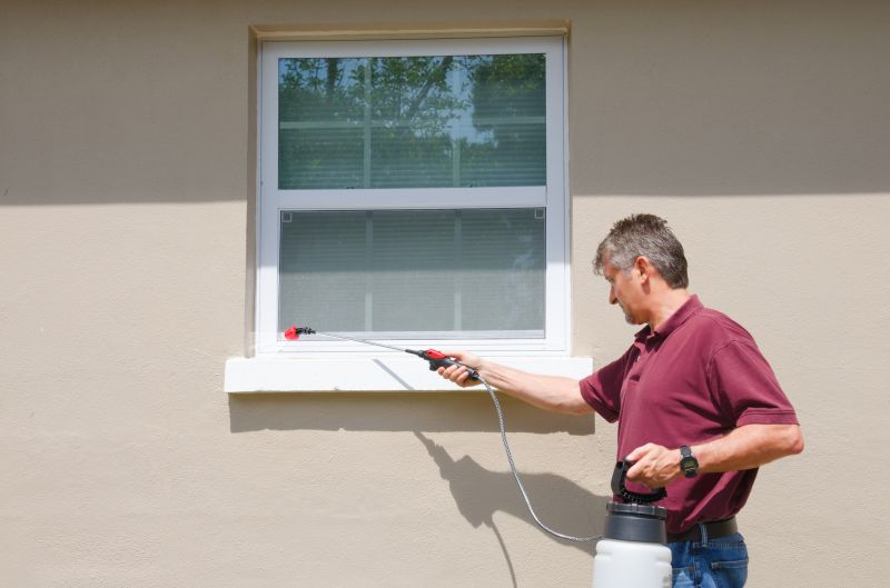 Spider Mite Extermination in Frisco, TX
