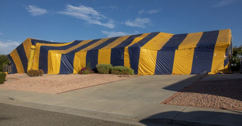Tent Fumigation in Fort Collins, CO